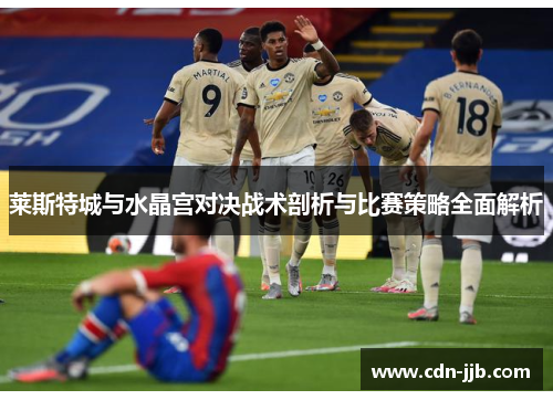 莱斯特城与水晶宫对决战术剖析与比赛策略全面解析