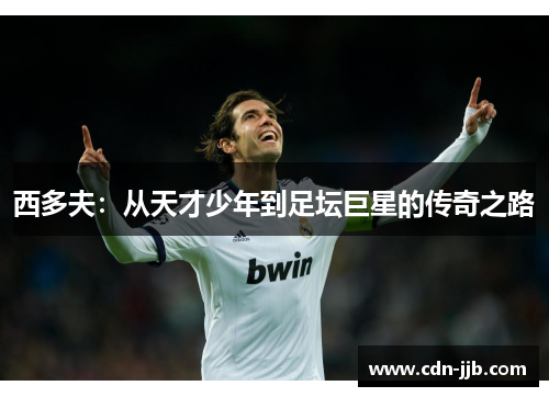 西多夫:从天才少年到足坛巨星的传奇之路 西多夫:从天才少年到足坛巨星的传奇之路