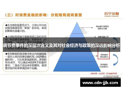 调节费事件的深层次含义及其对社会经济与政策的深远影响分析