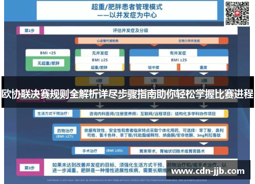欧协联决赛规则全解析详尽步骤指南助你轻松掌握比赛进程