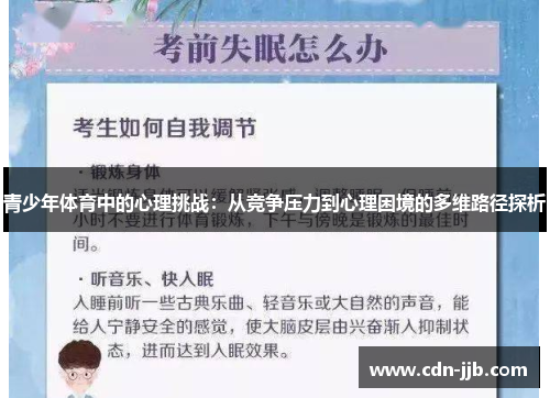青少年体育中的心理挑战：从竞争压力到心理困境的多维路径探析